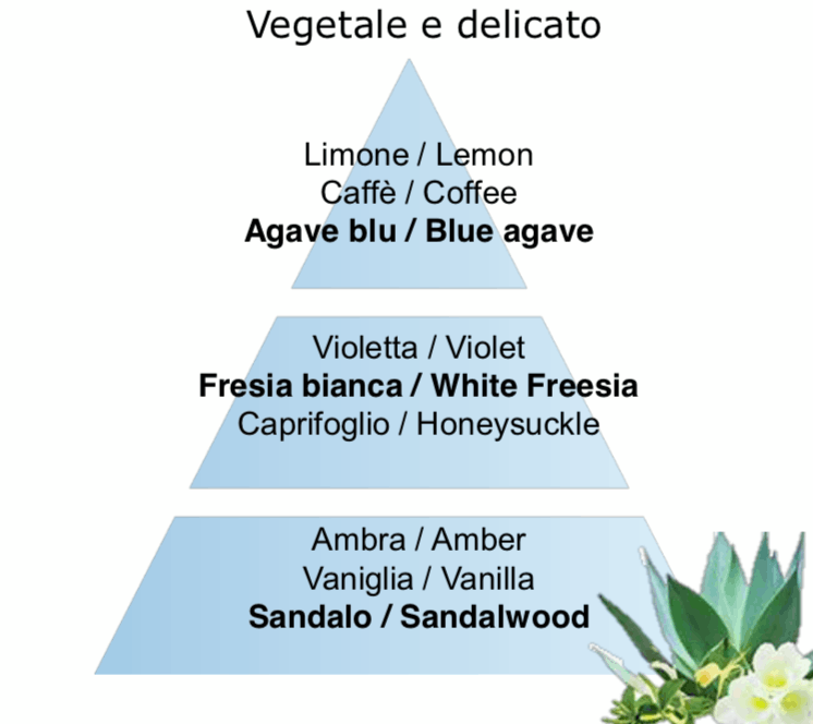 Jardin d'Agaves 500ml - immagine 2