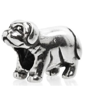 Labrador